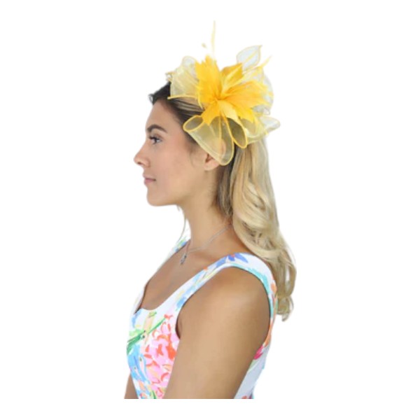 Flower Feather Fascinator Headband & Hair Clip Wedding Party Ladies Day Races Royal Ascot