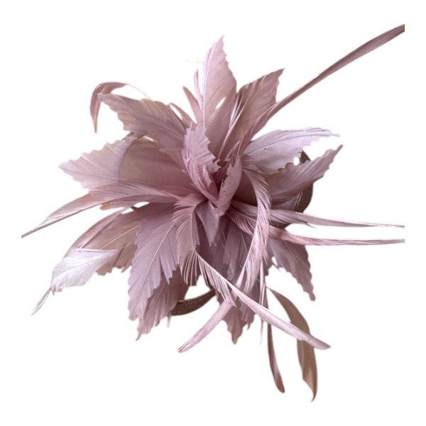 Elegant Small Flower Feathers Fascinator Hair Clip/Pin Ladies Day Wedding Party Prom Races Royal Ascot