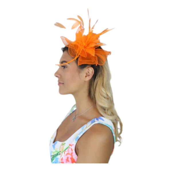 Flower Feather Fascinator Headband & Hair Clip Wedding Party Ladies Day Races Royal Ascot