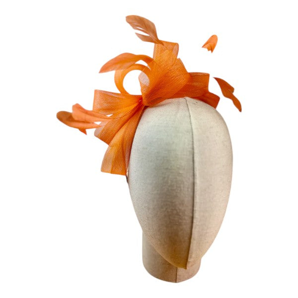 Womens Feather Looped Headband & Clip Fascinator Alice Band Ladies Day Wedding Royal Ascot