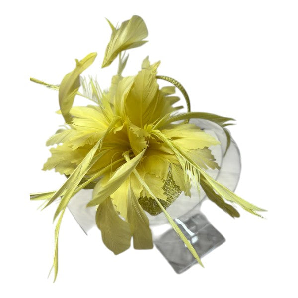 Elegant Small Flower Feathers Fascinator Hair Clip/Pin Ladies Day Wedding Party Prom Races Royal Ascot