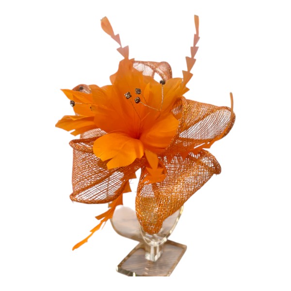 Women Wedding Fascinator Headband & Hair Clip Feather Flower Ladies Day Races Royal Ascot UK