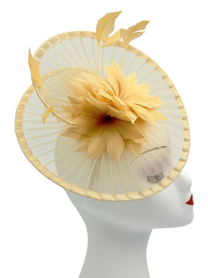 Women's Fascinator Headband Clip Circular Brim Round Hat Fascinator Weddings Ladies Races Royal Ascot Hatinator