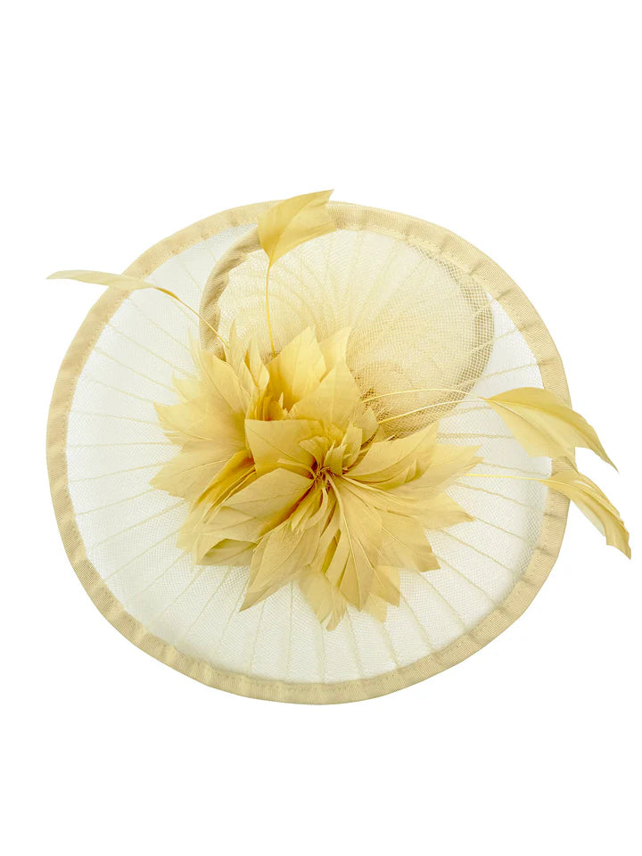 Women's Fascinator Headband Clip Circular Brim Round Hat Fascinator Weddings Ladies Races Royal Ascot Hatinator
