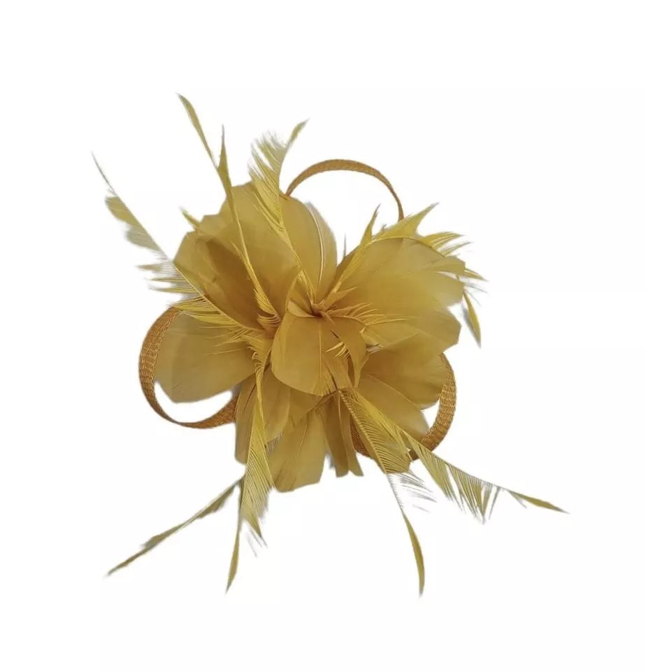 Small Flower Fascinator Hair Clip Feathers Mini Top Hat Wedding Royal Ascot Race