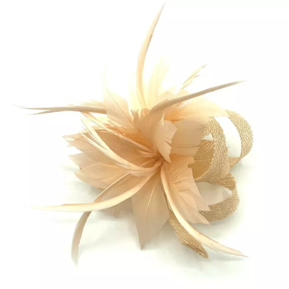 Small Flower Feather Fascinator Hair Clip Headpiece Wedding Hat Ladies Day Proms Party Race Royal Ascot